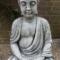 Have-Buddha