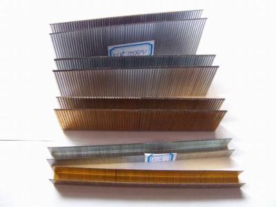 Staple-TD001-from-yiso-fu