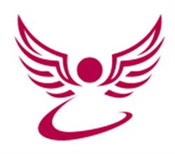 Viva Consult