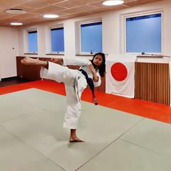 Amager budo & Genseiryu karate klub