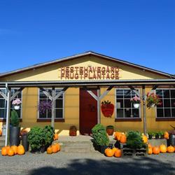 Hestehavegård Frugtplantage