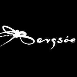 Bergsøe
