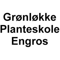 Grønløkke Planteskole Engros