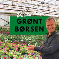 Grøntbørsen