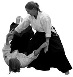 Aikido, Toitsu - Ki & Aikido Dojo Gladsaxe