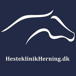 Hesteklinik Herning ApS