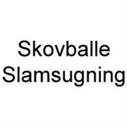 Skovballe Slamsugning