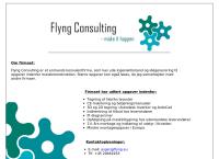 Flyng Consulting