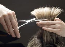 Fjordsalonen
