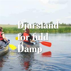 Djursland For Fuld Damp