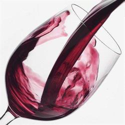 Vinotek A Fynnis