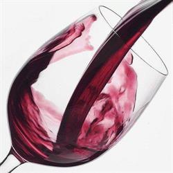 Vinotek A Fynnis