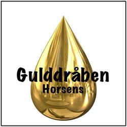 Gulddråben ApS
