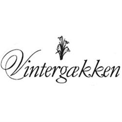 Vintergækken
