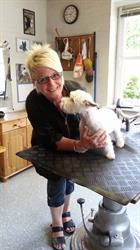Genner Hundesalon