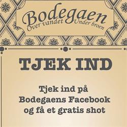 Bodegaen ApS