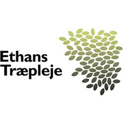Ethans Træpleje