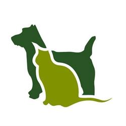 Alt til Hund og Kat