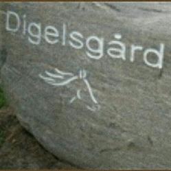 Digelsgård Ridecenter i/S
