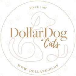 DollarDog