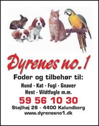 Dyrenes no. 1