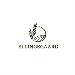 Ellingegaard