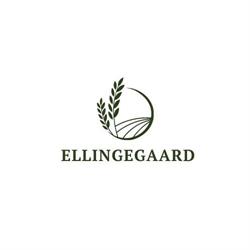 Ellingegaard