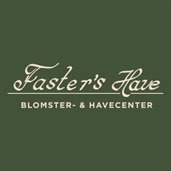 Faster's Have ApS
