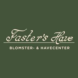 Faster's Have ApS