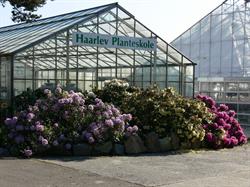 Hårlev Planteskole