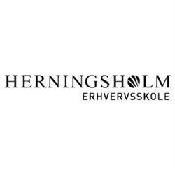 Herningsholm Erhvervsskole
