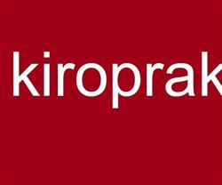 Kiropraktorerne.com