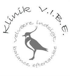 Klinik V.i.b.e.