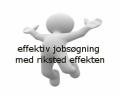 manualen effektiv jobsøgning fra afklaring til drømmejob af Conni Riksted