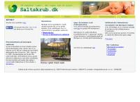 Saltskrubs webside