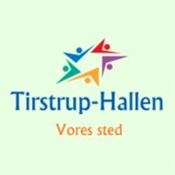 Den Selvvejnde Institution Fonden For Tirstrup-Hallen