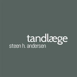 Andersen Steen H