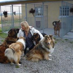 Vaarst Hundehotel