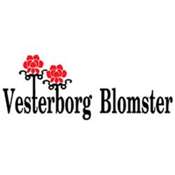 Vesterborg Blomster & Gartneri
