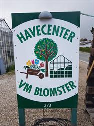 VM Blomster