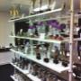 Showroom