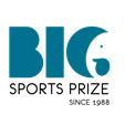 BIG Sportspræmier