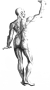 Bodysoft Kropsbehandling