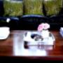 www.livinglicious.com