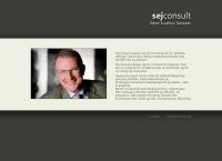 S e J Consult
