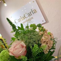 Carlacarla Copenhagen