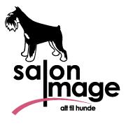 Salon Image