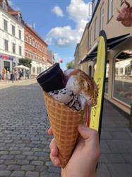 Ishuset Faaborg