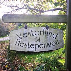 Vesterlund Hestepension