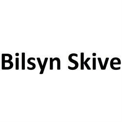 Skive Undervogns- & Synscenter